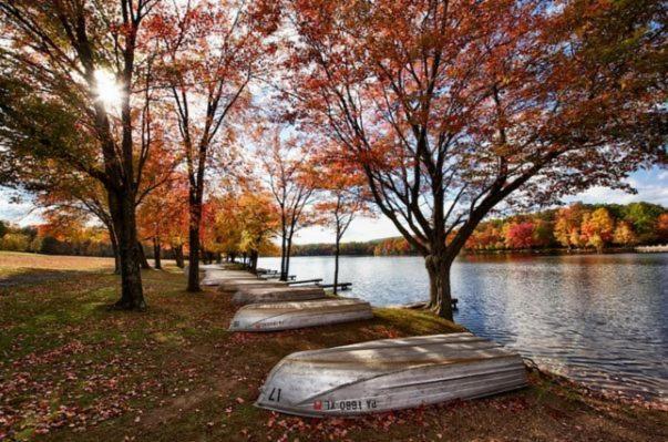 Entire 3 Bedroom Adventure Chalet, Near The Best Of The Poconos イースト・ストラウズバーグ エクステリア 写真